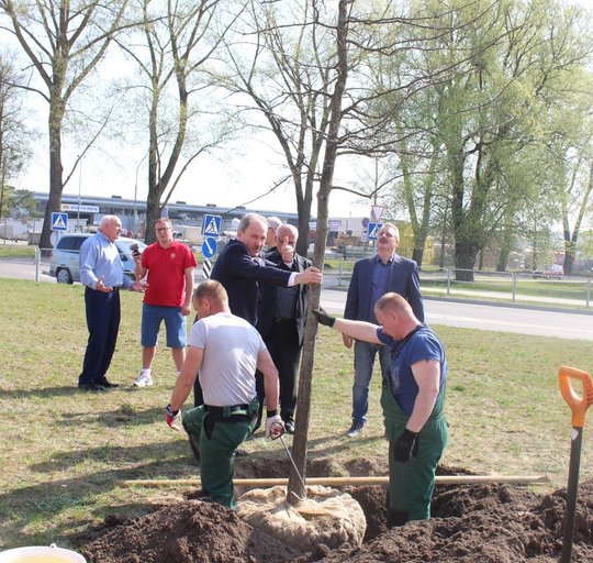 Naujai kadencijai išrinkti Savivaldybės vadovai pasodino ąžuolą