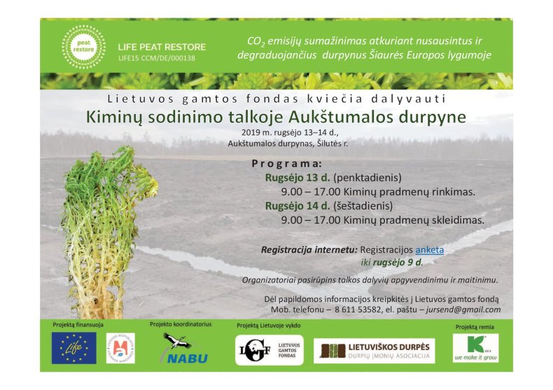Lietuvos gamtos fondas kviečia savanorius  registruotis į kiminų sodinimo talką  Aukštumalos...