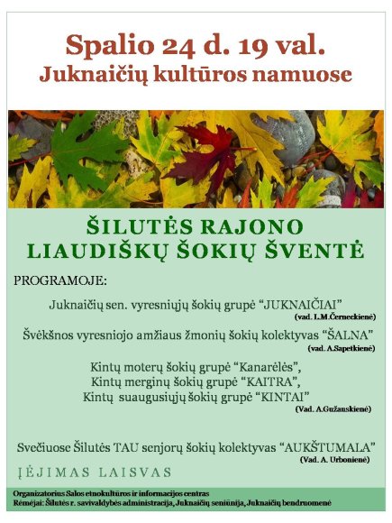 ŠOKIŲ KOLEKTYVŲ APŽIŪRA
