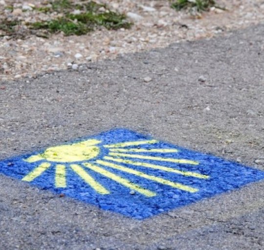 Šv. Jokūbo kelio jaunųjų ambasadorių estafetė 2020
