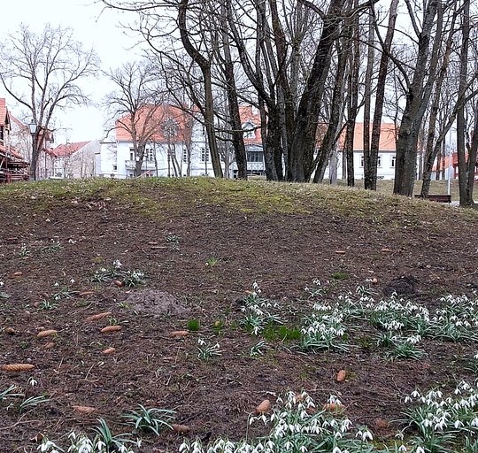 Šilutės dvaro sodyba, vad. Šojaus (unikalus kodas 663)