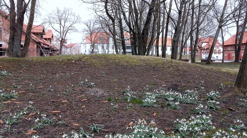 Šilutės dvaro sodyba, vad. Šojaus (unikalus kodas 663)