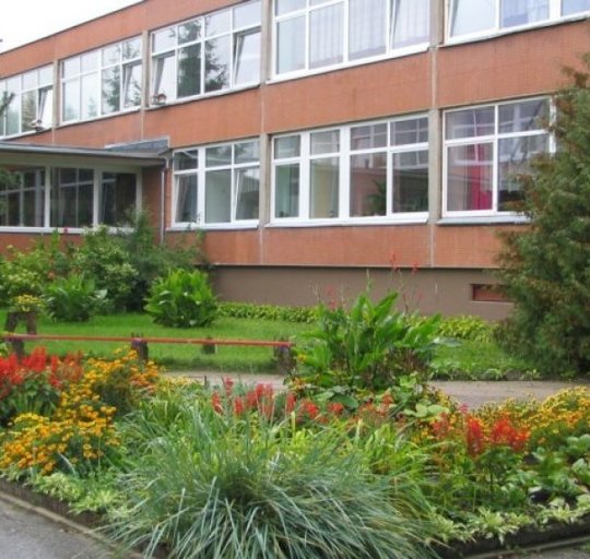 Informacija dėl ikimokyklinio amžiaus vaikų priežiūros organizavimo
