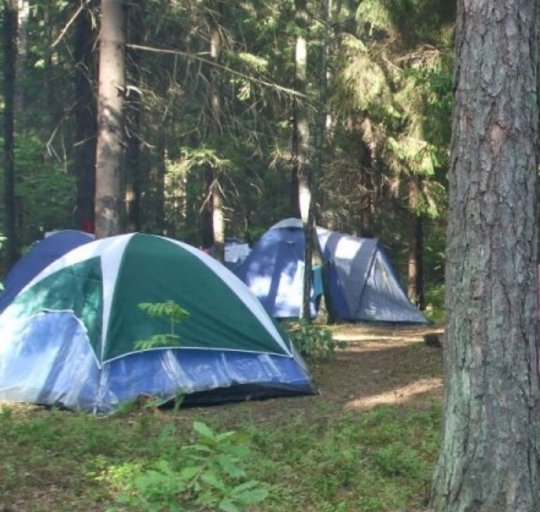 Pakartotinis vaikų vasaros poilsio projektų finansavimo konkursas