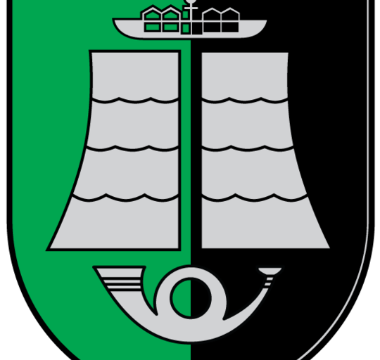 Tiesioginė Tarybos posėdžio transliacija