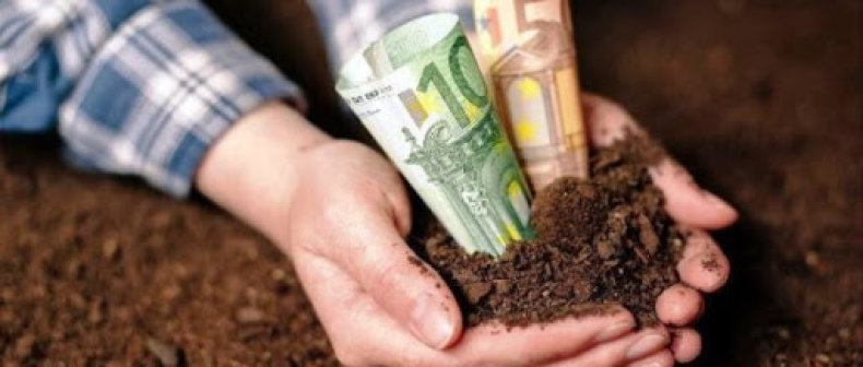 Nepamirškite - žemės mokestį šiemet reikia su mokėti iki lapkričio 16 d.