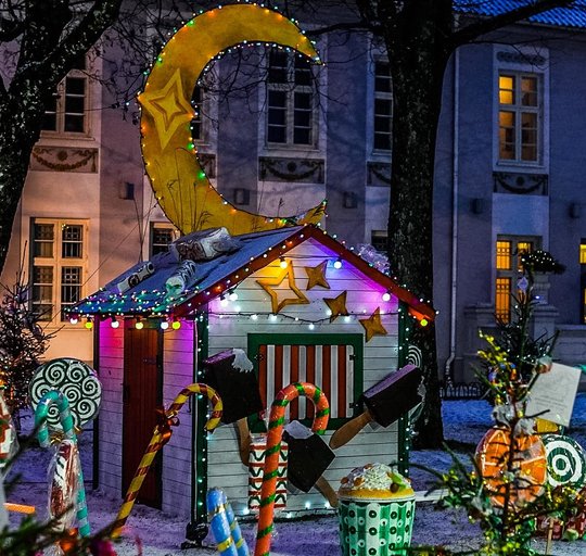 Prie Hugo Šojaus dvaro sužibo eglučių alėja