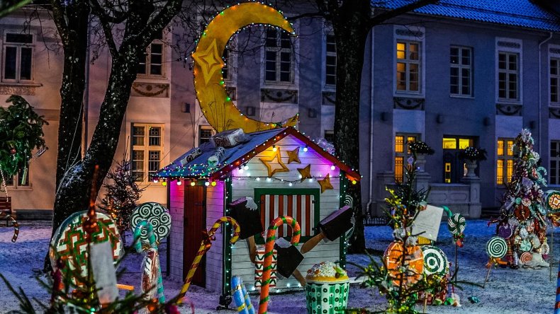 Prie Hugo Šojaus dvaro sužibo eglučių alėja