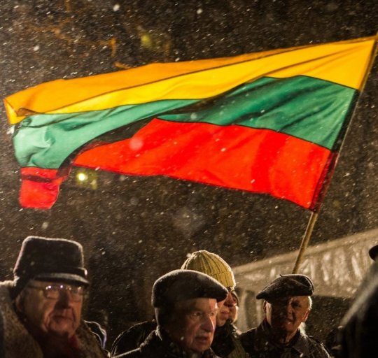 Su Laisvės gynėjų diena!