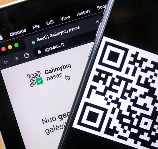Viskas, ką būtina žinoti apie galimybių pasą
