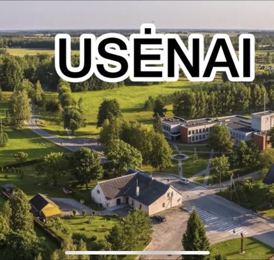 Administracijos direktorius dalyvavo nuotoliniame susitikime su 5 šalių mokyklų atstovais