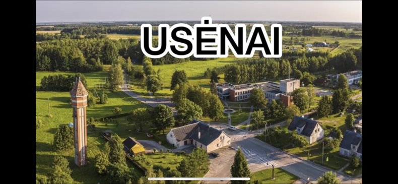 Administracijos direktorius dalyvavo nuotoliniame susitikime su 5 šalių mokyklų atstovais