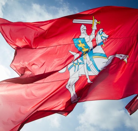 Su Valstybės diena!