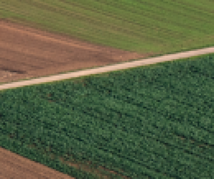 NŽT šiemet suprojektuos apie 15 tūkst. valstybinės žemės ūkio paskirties sklypų  