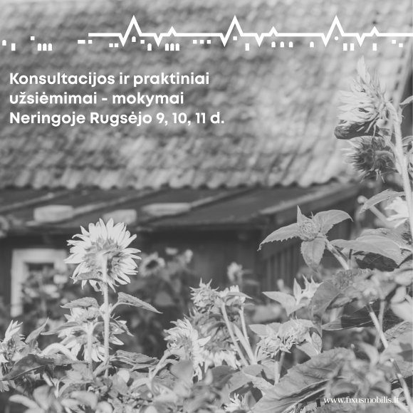 Paveldo objektų priežiūra: dėmesys prevencijai visada atsiperka