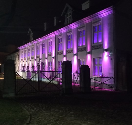 Šilutės Hugo Šojaus dvaras nušvito purpurine spalva
