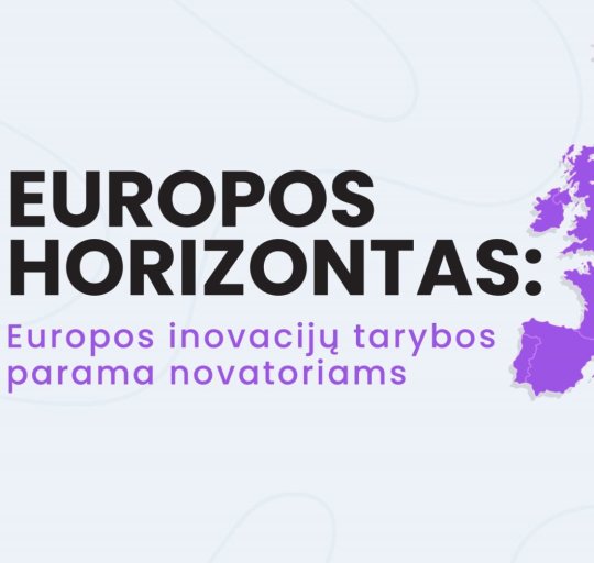 Individualūs mokymai Lietuvos verslo ir mokslo atstovams „Kaip parengti kokybišką paraišką...