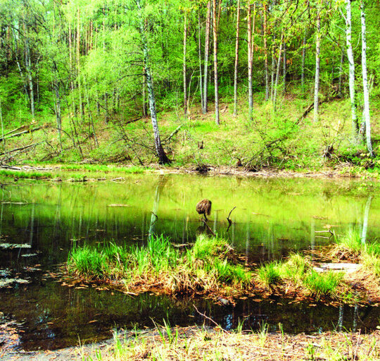 Parengti natūralių pievų ir ganyklų, pelkių ir šaltinynų žemėlapiai