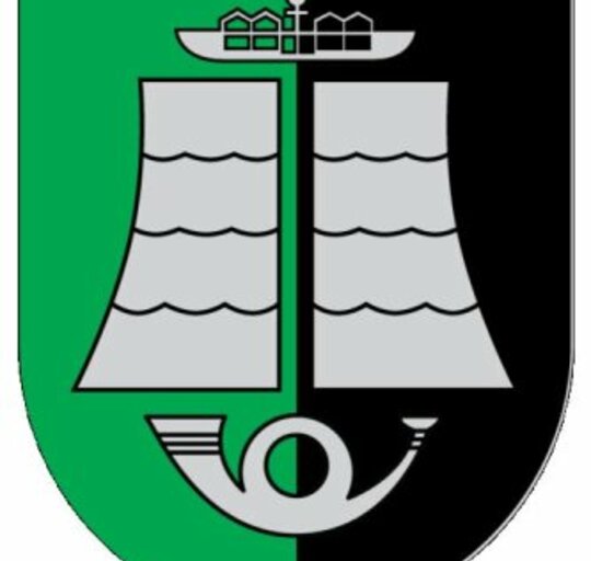 Dėl Administracijos direktoriaus V. Pozingio