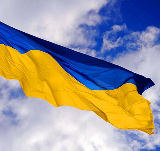 Ukrainiečių padėkos laiškas D. Žebelienei