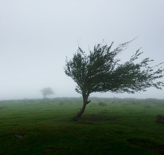 PERSPĖJIMAS APIE PAVOJINGĄ METEOROLOGINĮ REIŠKINĮ – VĖJĄ