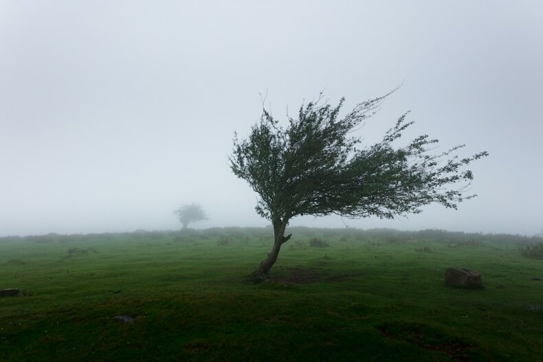 PERSPĖJIMAS APIE PAVOJINGĄ METEOROLOGINĮ REIŠKINĮ – VĖJĄ