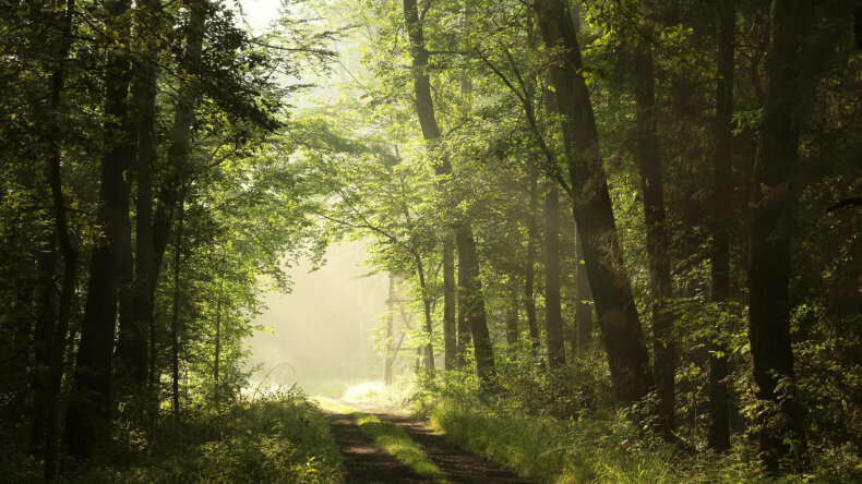 Atšaukiamas laikinas draudimas fiziniams asmenims lankytis Šilutės rajono savivaldybės...
