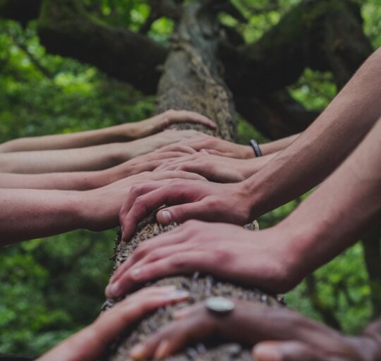 Skelbiamas projekto socialinių dirbtuvių Šilutės rajono savivaldybėje partnerių atrankos konkursas
