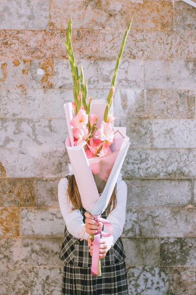 Sveikinimas Mokslo ir žinių dienos proga