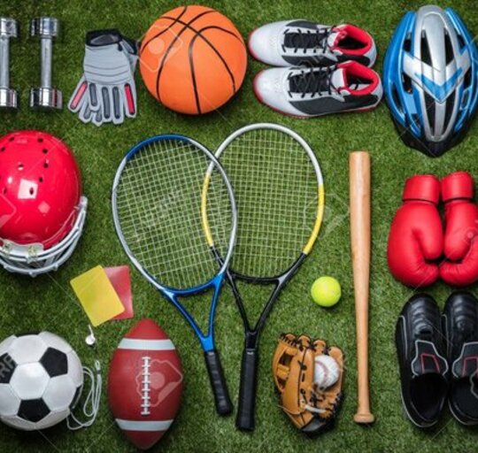 Šilutės rajono savivaldybės sporto taryba kviečia sporto klubus ir įstaigas teikti informaciją...