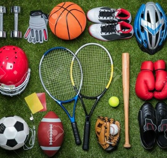 Sporto taryba kviečia sporto klubus ir įstaigas teikti informaciją apie 2024 m. aukštų sportinių...