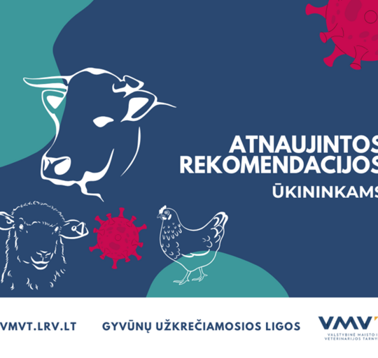 Atnaujintos VMVT rekomendacijos apie gyvūnų užkrečiamąsias ligas