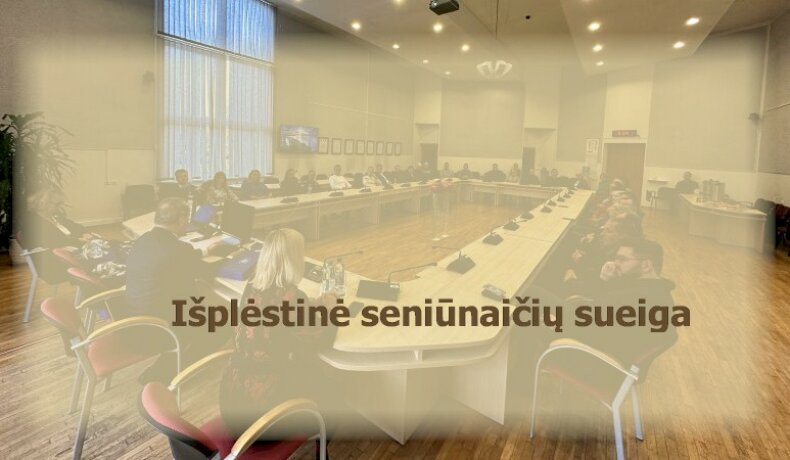 Išplėstinių seniūnaičių sueigų grafikas