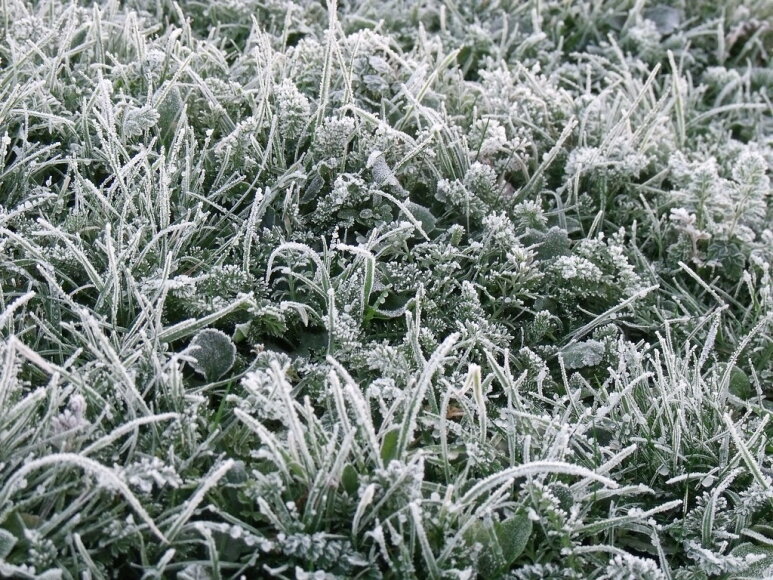 Perspėjimas apie stichinį meteorologinį reiškinį 