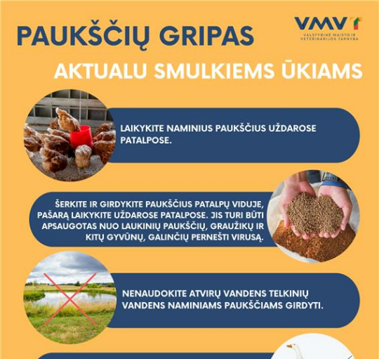 Paukščių gripas vėl Lietuvoje – židinys nustatytas Kaišiadorių rajone 