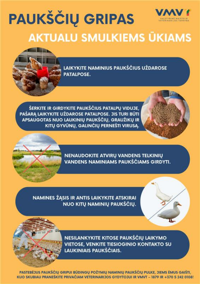 Paukščių gripas vėl Lietuvoje – židinys nustatytas Kaišiadorių rajone 