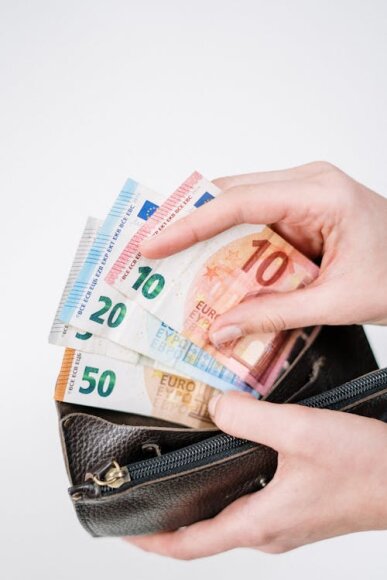 VIENKARTINĖS, TIKSLINĖS, SĄLYGINĖS IR PERIODINĖS PAŠALPOS