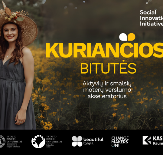 Kvietimas 18–29 m. regiono moterims: registracija į „Kuriančios bitutės“ programą iki 2025 m....
