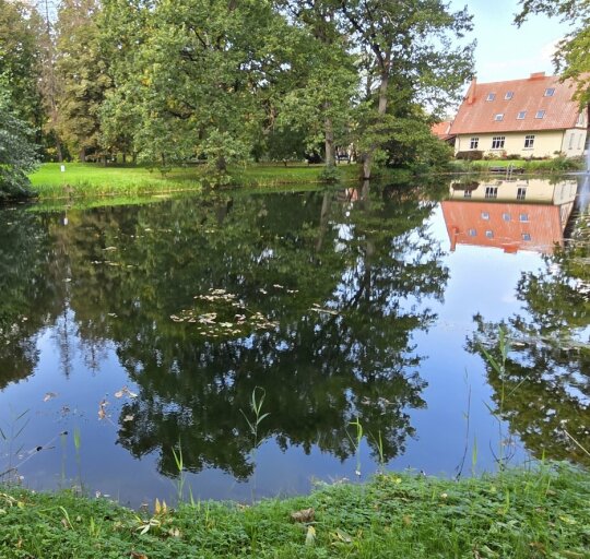 Šilutės H. Šojaus parko ir Kuldygos Maras tvenkinių būklės stebėsena po tvarkymo darbų