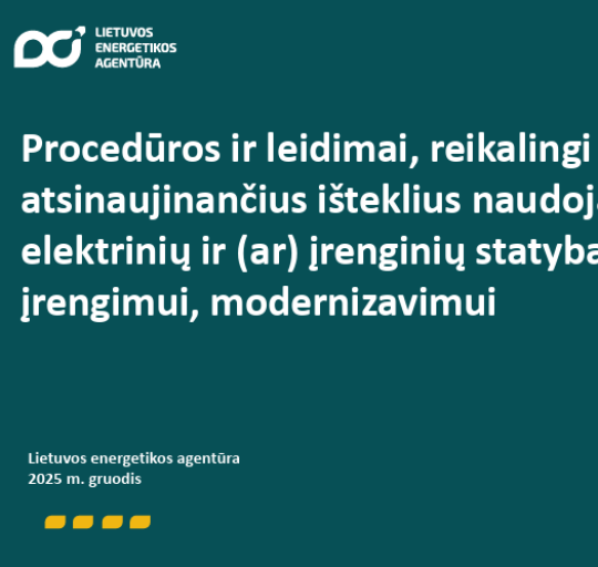 Apibendrinta informacija apie procedūras ir leidimus, reikalingus atsinaujinančius išteklius...
