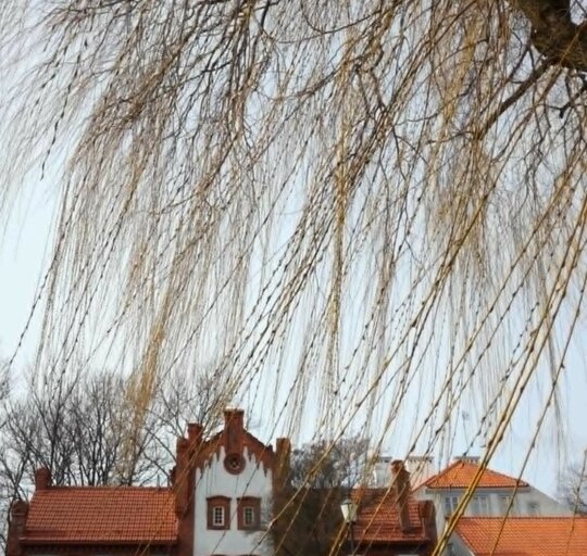 „Rėžimas“ ar „režimas“?