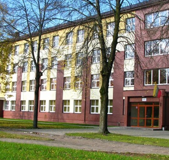 Šilutės Žibų pradinės mokyklos ketvirtokai pademonstravo itin aukštus rezultatus