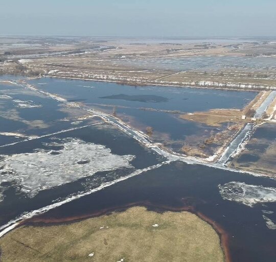 Aktuali informacija apie upių būklę ir vandens lygį Pamaryje