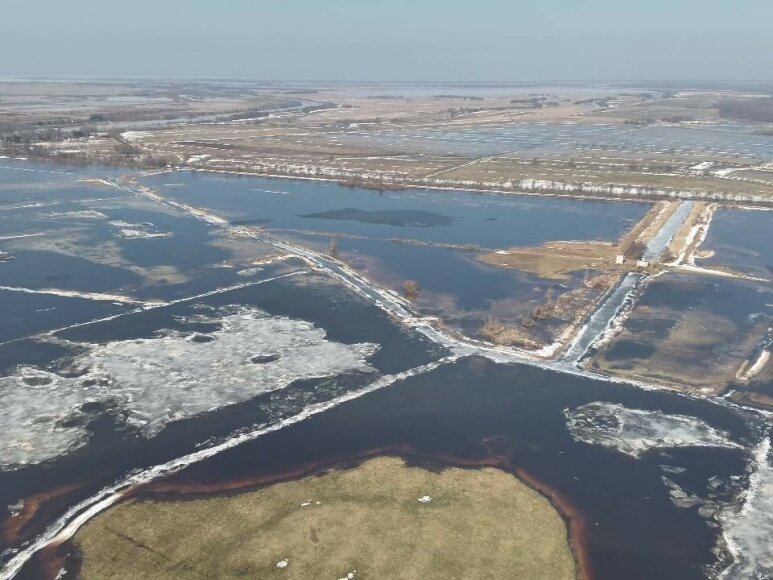 Aktuali informacija apie upių būklę ir vandens lygį Pamaryje
