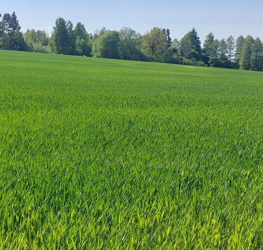 Žemės ūkio naudmenų ir pasėlių  deklaravimas