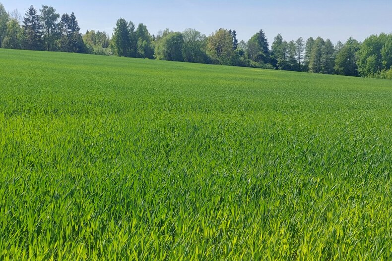 Žemės ūkio naudmenų ir pasėlių  deklaravimas