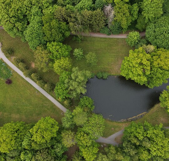 Pradedamas įgyvendinti projektas „Šilutės Hugo Šojaus dvaro parkų pritaikymas lankymui“