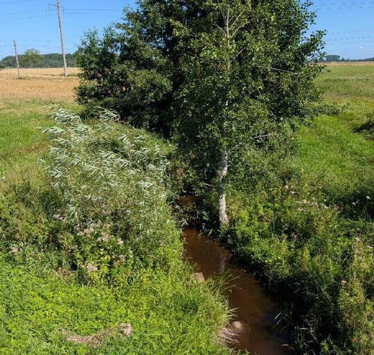 Projektas „Šilutės rajono savivaldybės, Saugų kadastrinės vietovės griovių T-2-5-3, T-2-5-3-1 ir...