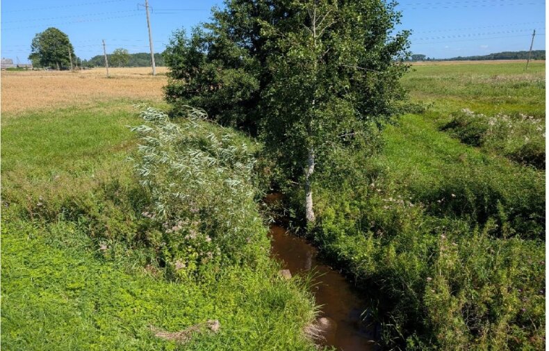 Projektas „Šilutės rajono savivaldybės, Saugų kadastrinės vietovės griovių T-2-5-3, T-2-5-3-1 ir...