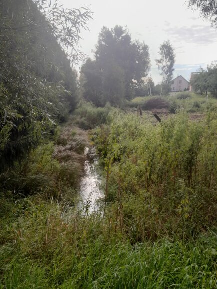 Vykdomi Šilutės rajono savivaldybės Jonaičių kadastro vietovės grioviuose Nr. 1, Nr. 3 ir Nr. 5...
